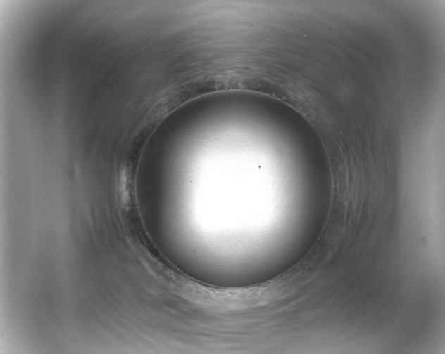 X0000066940038200603271148