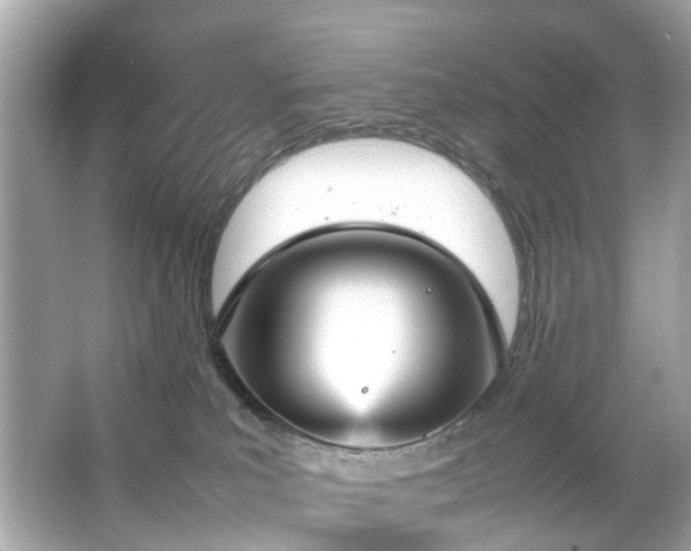 X0000066940039200603271148