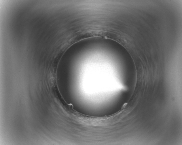 X0000066940040200603271148