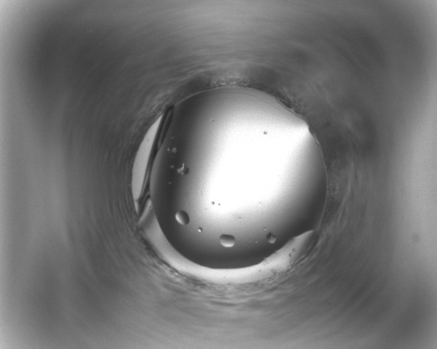 X0000066940041200603271148