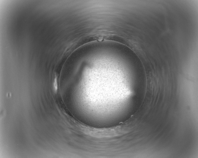 X0000066940042200603271148