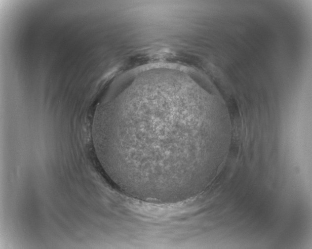 X0000066940043200603271148