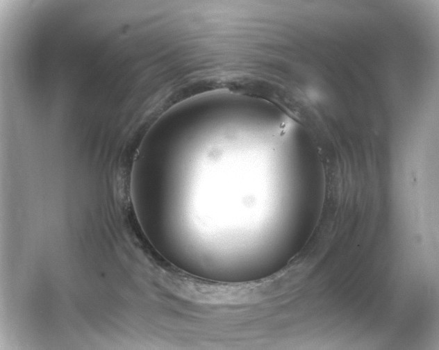 X0000066940044200603271148