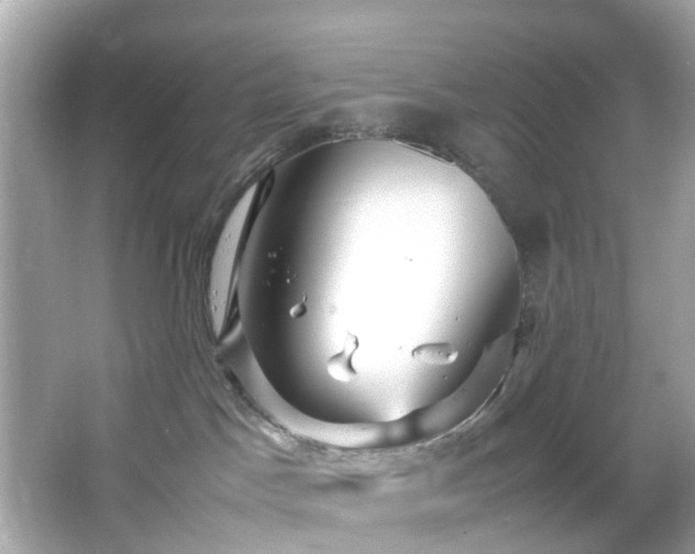 X0000066940045200603271148