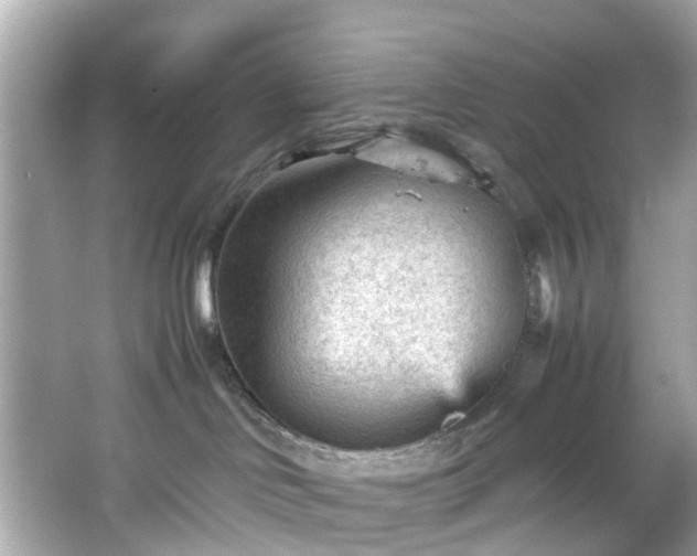 X0000066940046200603271148