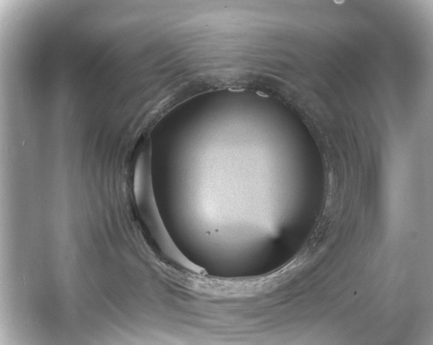 X0000066940048200603271148