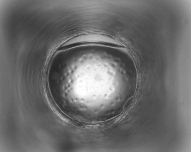 X0000066940049200603271147