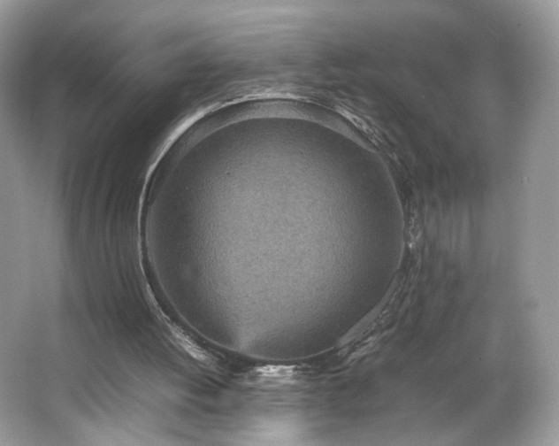 X0000066940052200603271147