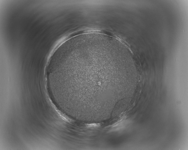 X0000066940053200603271147