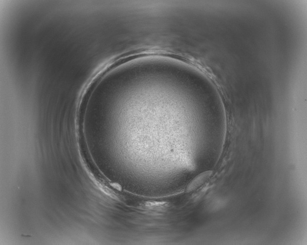 X0000066940055200603271147