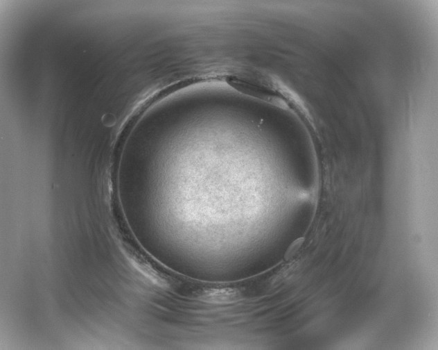 X0000066940059200603271147