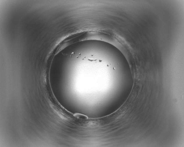 X0000066940060200603271147