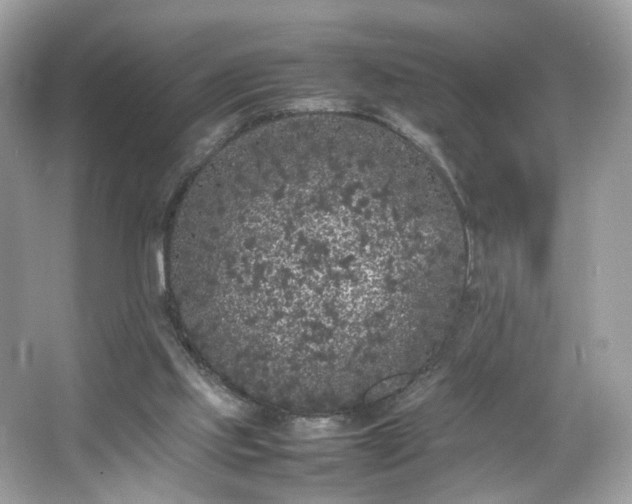 X0000066940061200603271147