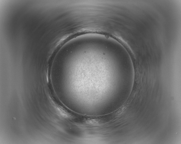 X0000066940062200603271147