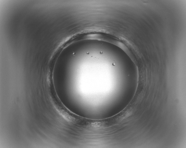 X0000066940064200603271147