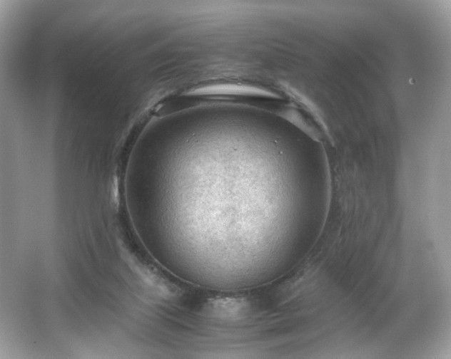 X0000066940067200603271147