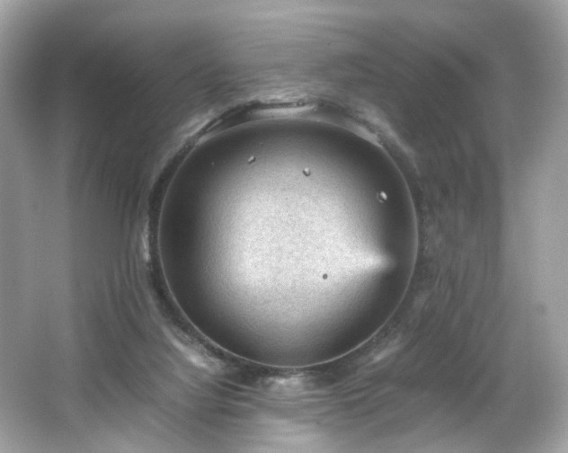 X0000066940068200603271148