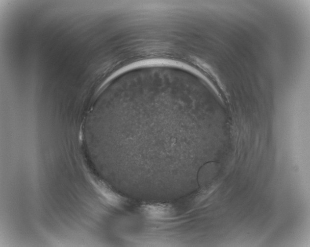 X0000066940069200603271148