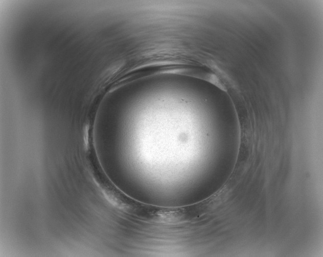 X0000066940070200603271148