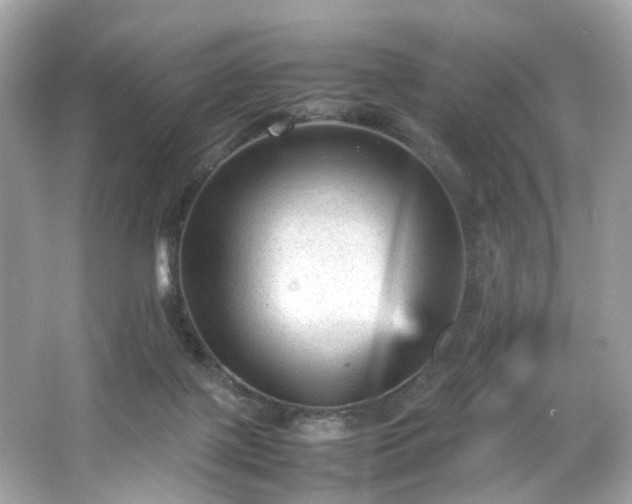 X0000066940075200603271148