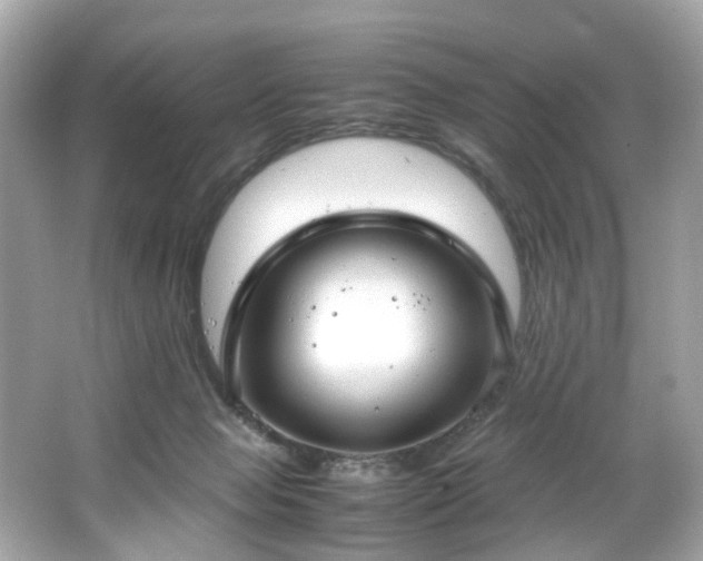 X0000066940077200603271148