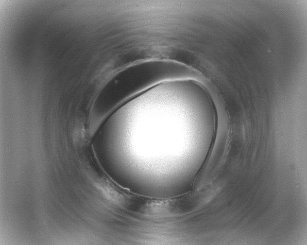 X0000066940084200603271148