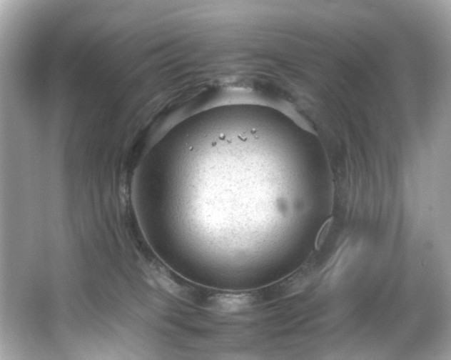 X0000066940085200603271148