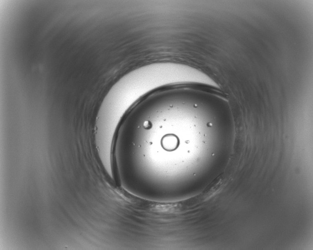 X0000066940089200603271148