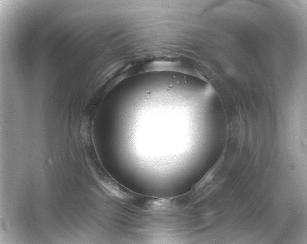 X0000066940092200603271148