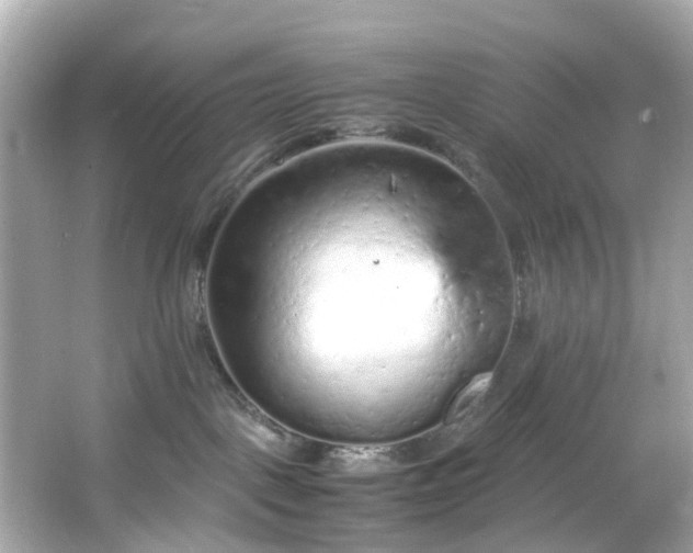 X0000066940093200603271148