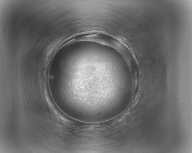 X0000066940097200603271147