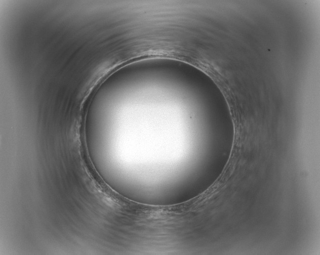 X0000066940098200603271147