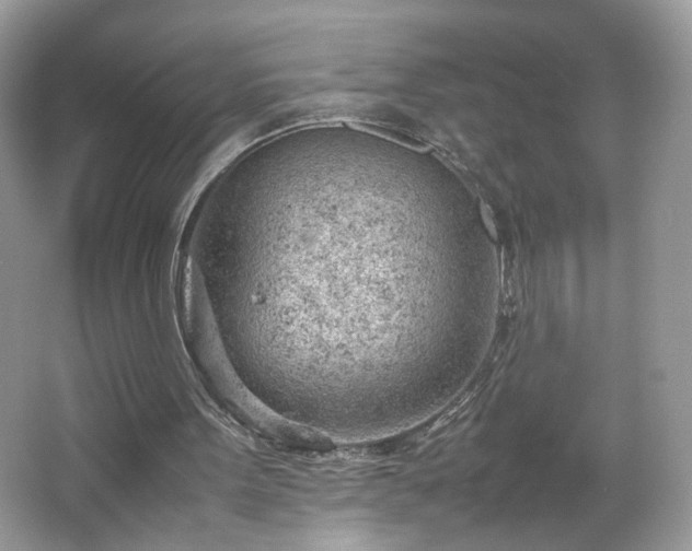 X0000066940099200603271147