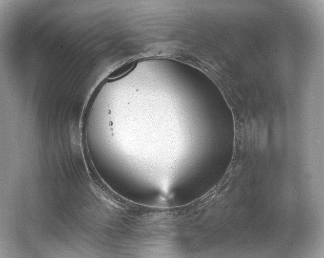 X0000066940100200603271147