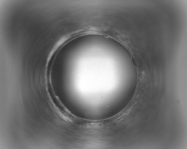 X0000066940102200603271147