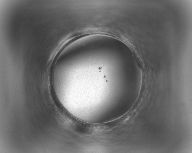 X0000066940103200603271147