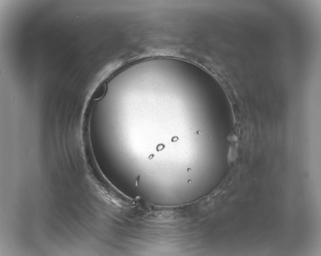 X0000066940104200603271147