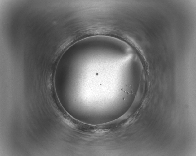 X0000066940105200603271147