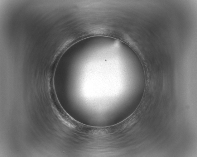 X0000066940106200603271147