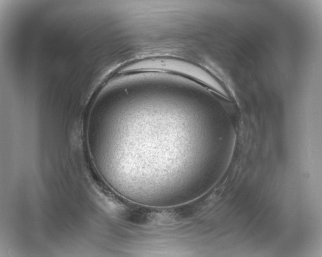 X0000066940107200603271147