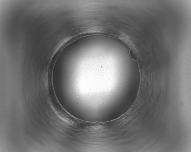 X0000066940108200603271147