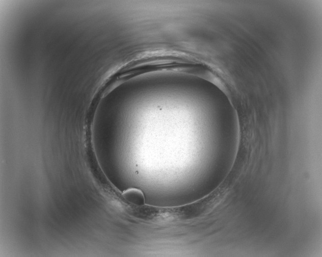 X0000066940111200603271147