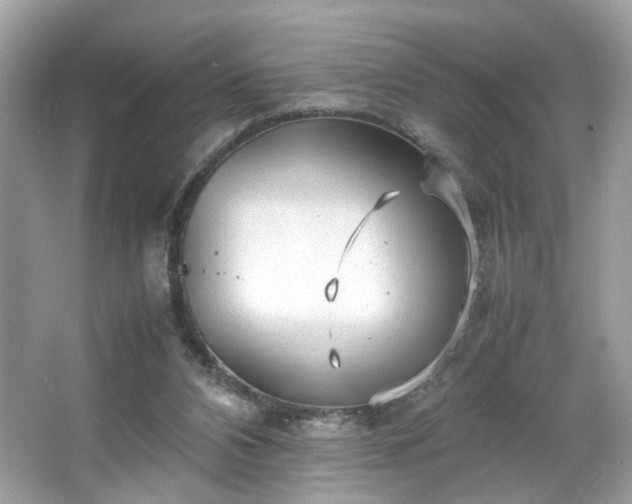 X0000066940112200603271147