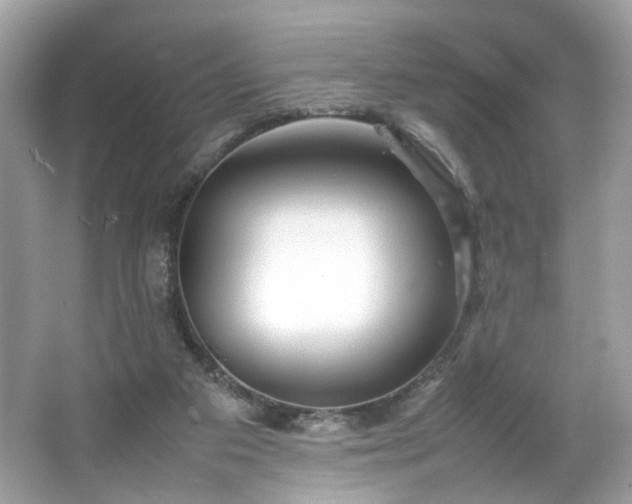 X0000066940113200603271147