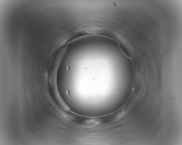 X0000066940117200603271147