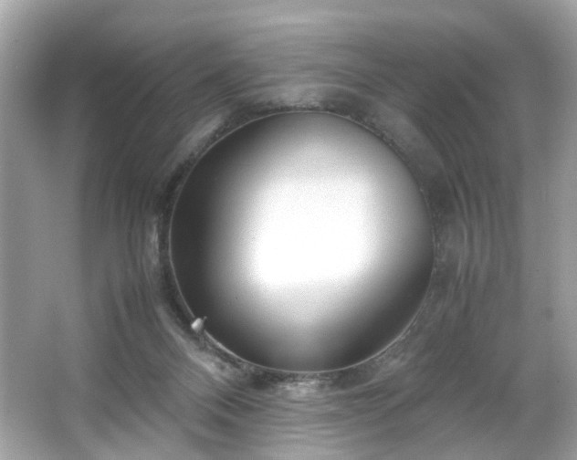 X0000066940120200603271147