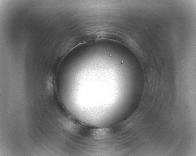 X0000066940122200603271147