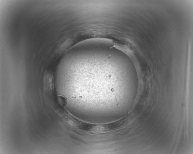 X0000066940123200603271147