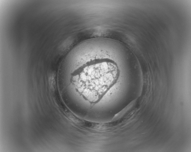 X0000066940127200603271147