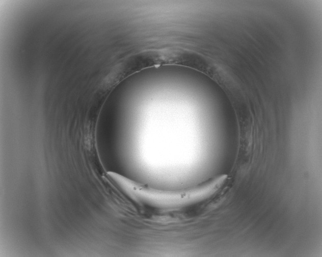 X0000066940129200603271147